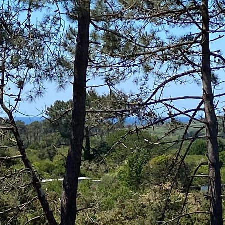 Maison Architecte Bois Du Kador A Morgat Κροζόν Εξωτερικό φωτογραφία