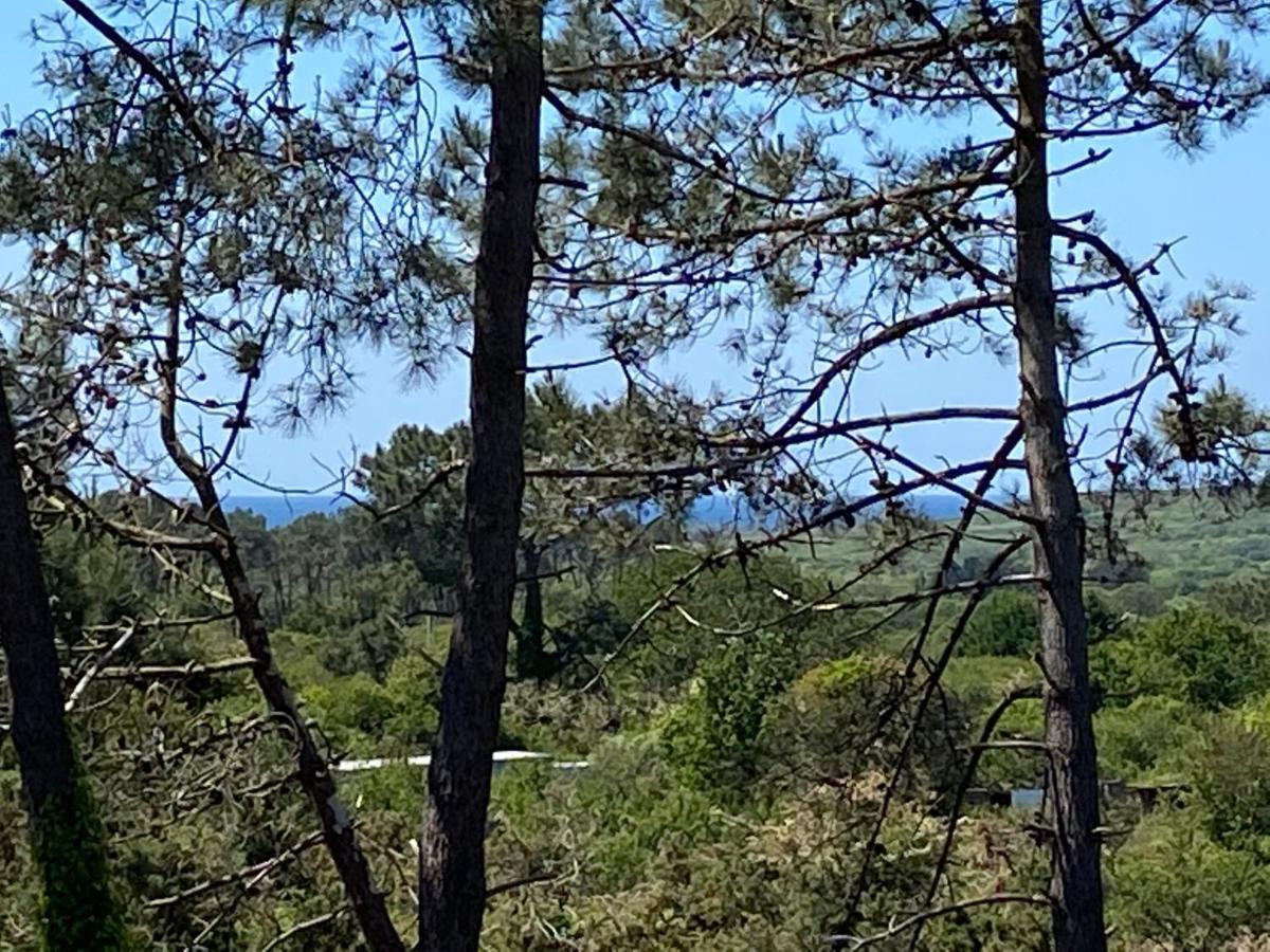 Maison Architecte Bois Du Kador A Morgat Κροζόν Εξωτερικό φωτογραφία