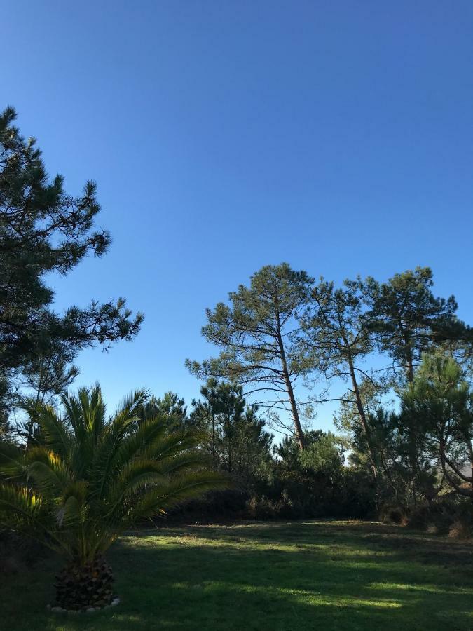Maison Architecte Bois Du Kador A Morgat Κροζόν Εξωτερικό φωτογραφία